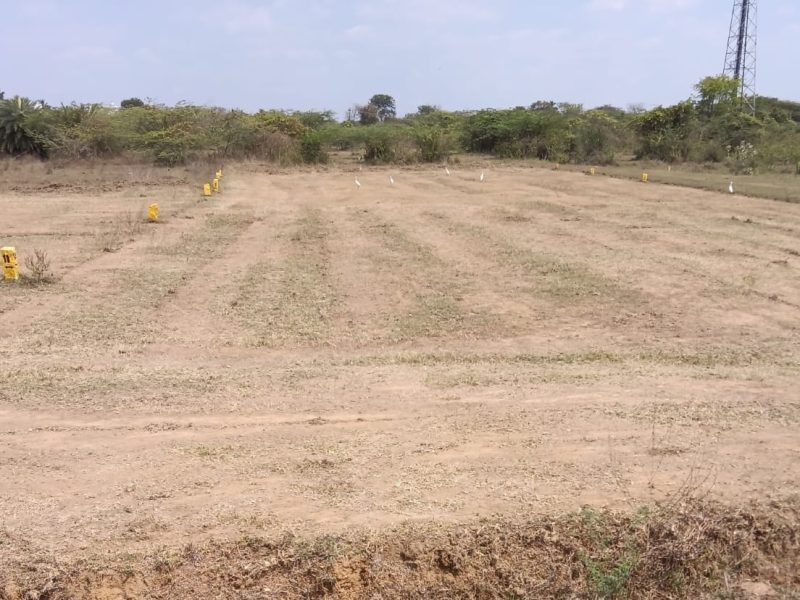 SHIV CHARAN NAGAR :  DTCP & RERA Approved plot for sale in Mosur.