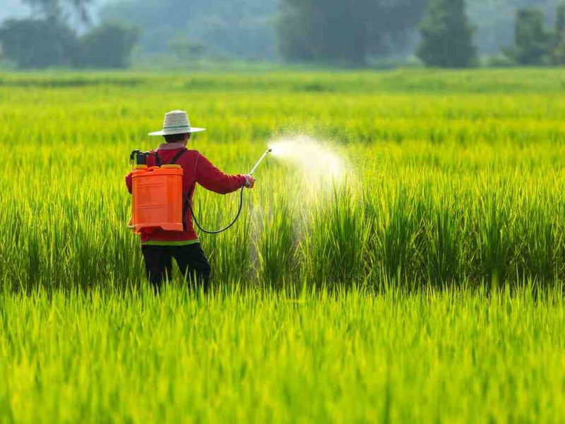 Improve Soil Fertility with Aqueous Ammonia Now