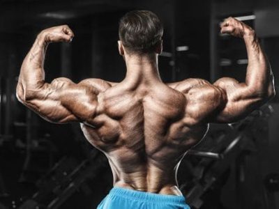 Best Muscle Building Supplements for Home Workouts and Effective Lean Muscle Growth