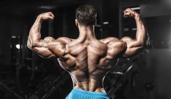 Best Testosterone Booster for Men – How TestoPrime Supports Natural Hormone Balance