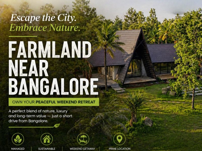 Managed Farmland Near Bangalore – Secure Investment for Sustainable Living