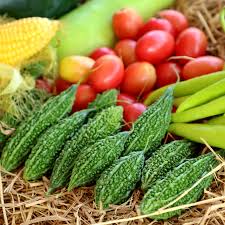 Best Vegetables Seeds for Gardening Online in India
