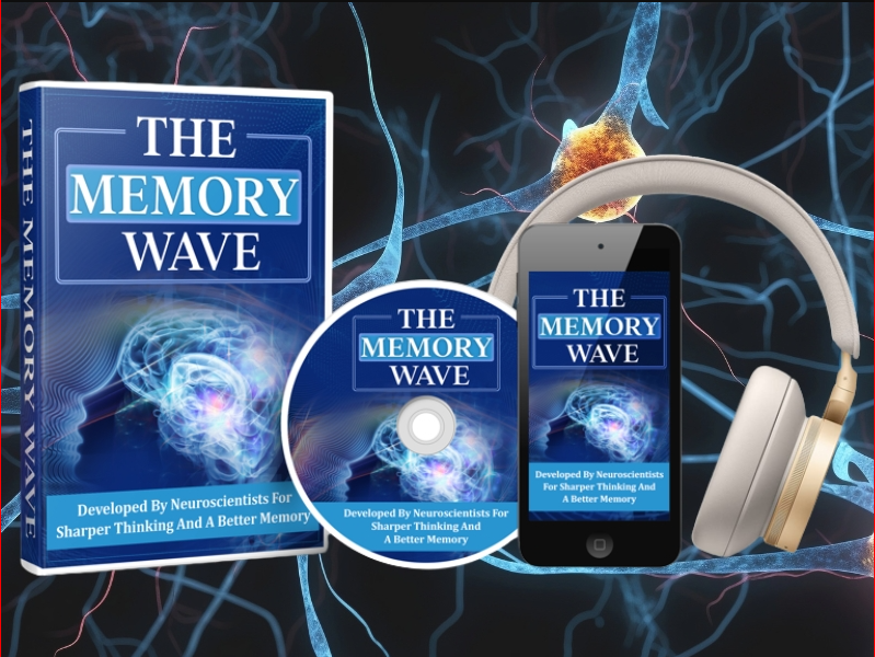 The Memory Wave: The Science of Memory Retention and How to Master It