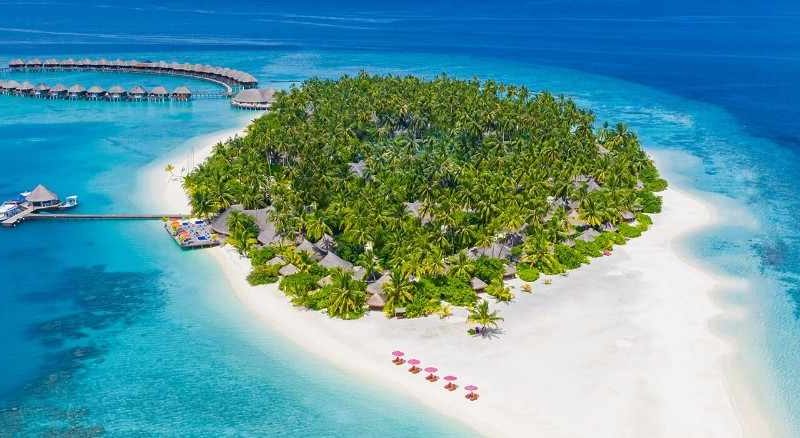Experience the Maldives’ Most Stunning Island Escape | Odyssey Travels