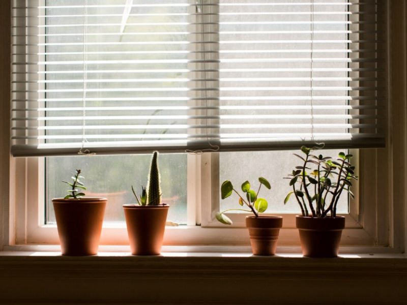 Linen Shades Window: Elegant and Functional Window Coverings