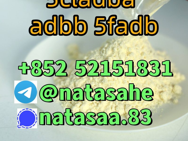 5cladba 5cl yellow powder 5cladba from best supplier