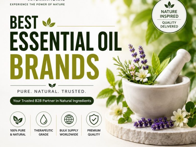 Best Essential Oil Brands for Quality and Purity