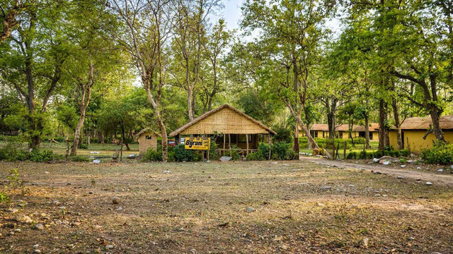 Exclusive Resort In Jim Corbett | Luxury & Nature Retreat