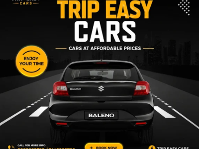 TripEasy Cars