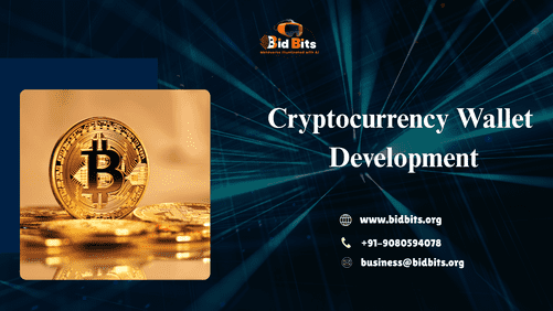 Enhance Cryptocurrency Wallet Development with Asset Management