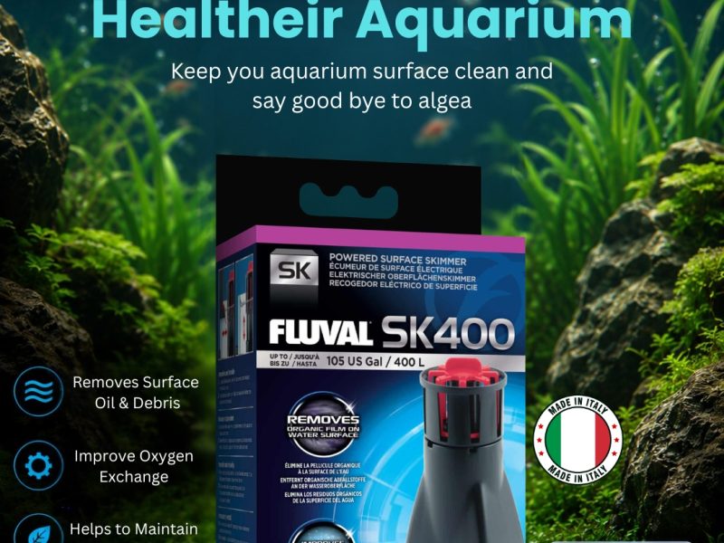 Fluval U Series Internal Filter India — Quiet, Powerful & Backed by 3-Year Warranty | Maple Pets