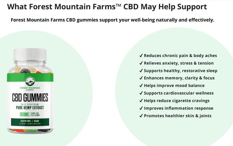 Forest Mountain Farms CBD Gummies Products Evaluation – Are They Worth a Try?