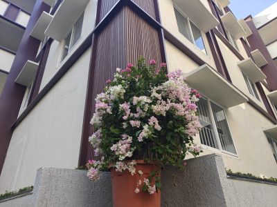 Best CBSE School in Chennai