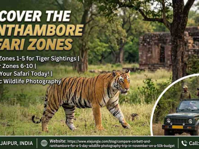 Discover the Best Ranthambore Safari Zones for Spotting Tigers