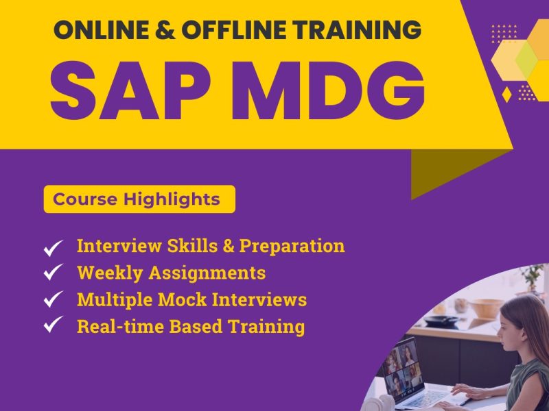 SAP MDG Training in Hyderabad – Master Master Data Governance with Version IT