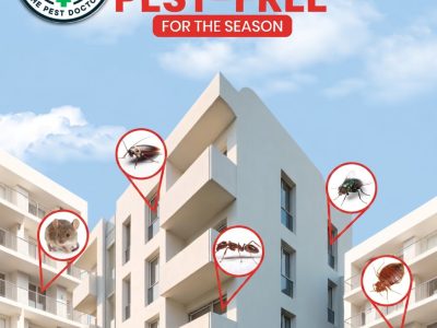 Expert Pest Control Services in Kochi | Trusted Pest Exterminator & Fumigation | SIPC