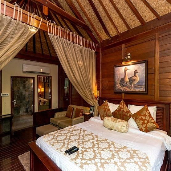 Tree House Cottages Jaipur for a Unique Nature Stay