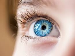 Does Visium Pro contain lutein and zeaxanthin?