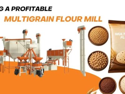 Atta Chakki Plant | Automatic Atta Flour Mill Plant Manufacturer