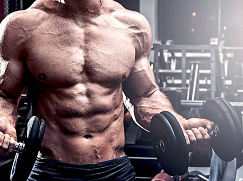 Best Legal Steroids Muscle Building Supplements for Beginners: Top Choices for 2026