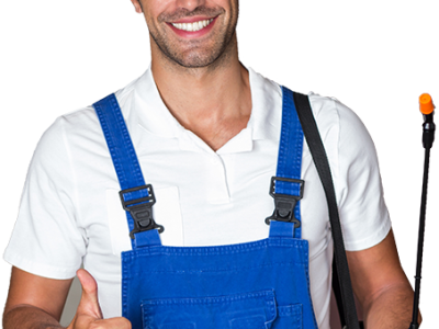Cassini Pest Control