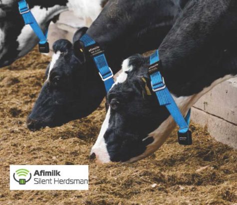 Vansun Milking Automatic Cow Identification System for Modern Dairy Farms in India