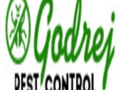 Crawling Pest Control in Noida