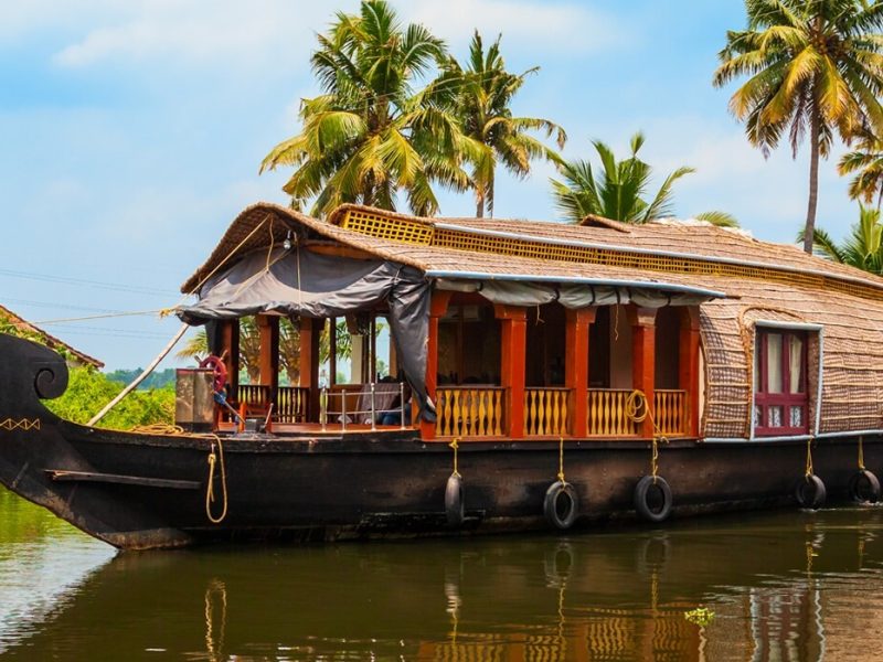 Transform Your Wellbeing with Ancient Ayurvedic Therapies | Odyssey Travels