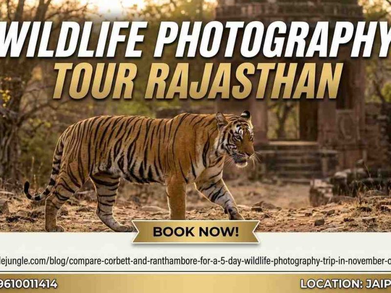 Capture the Wild: Your Ultimate Wildlife Photography Tour Rajasthan Guide