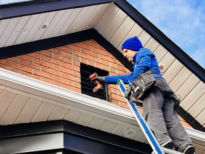 Critter Hero Wildlife Removal Hamilton