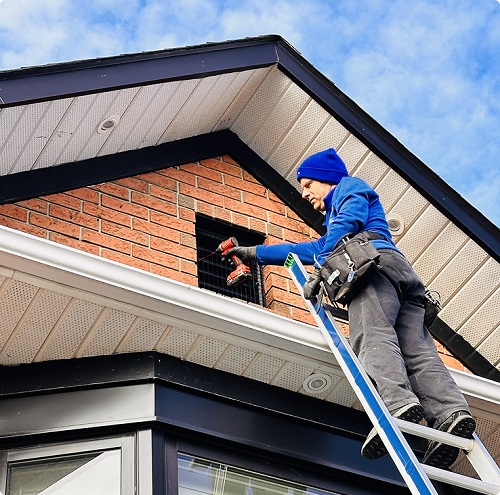 Critter Hero Wildlife Removal Hamilton