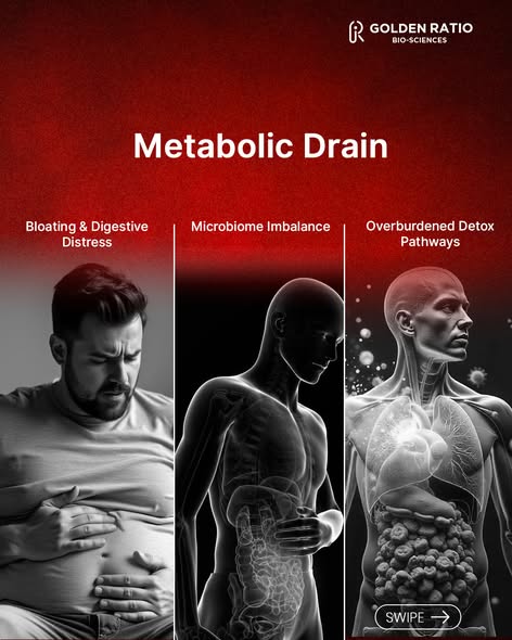 Plant Based Supplements | Nutraceutical Products | Golden Ratio