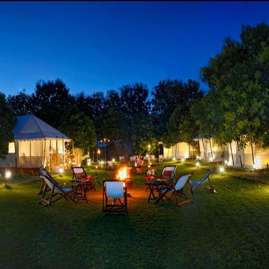 Best Resort in Ranthambore for Nature and Luxury Experiences