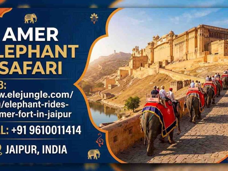 Ride Like Royalty: Amer Elephant Safari at Jaipur's Historic Fort