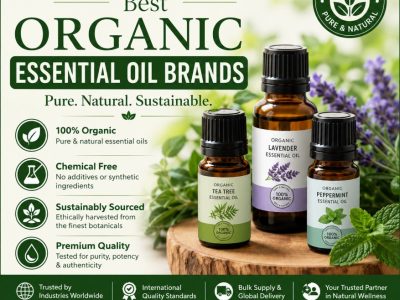 Best Organic Essential Oil Brands | Pure and Premium Quality Oils