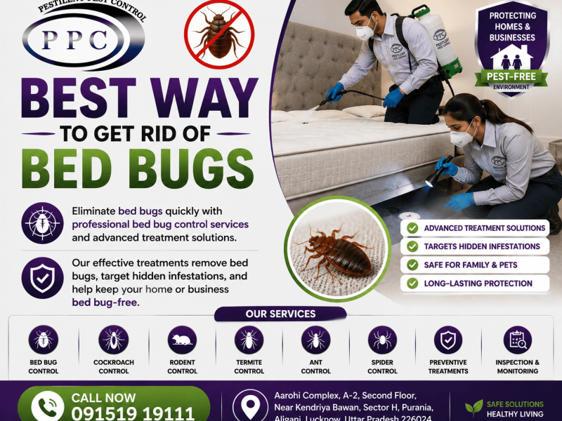 Pestilent – Trusted Pest Control & Hygiene Solutions Across India