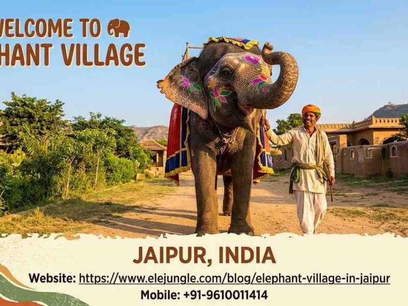 Escape to Hathi Gaon: Your Ultimate Guide to Jaipur's Elephant Village