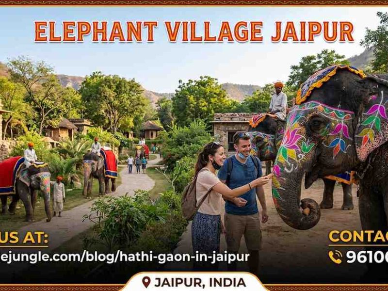 Elephant Village Jaipur: A Unique Sanctuary Near Amer