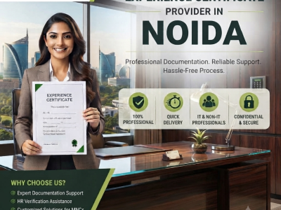 Professional Documentation Assistance for Career Growth in Noida