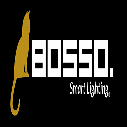 Permanent Outdoor Lighting Boise