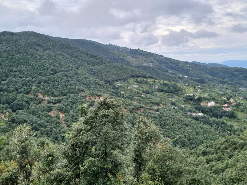 Luxury Villas In Mukteshwar | Premium Stays HyggeLivings