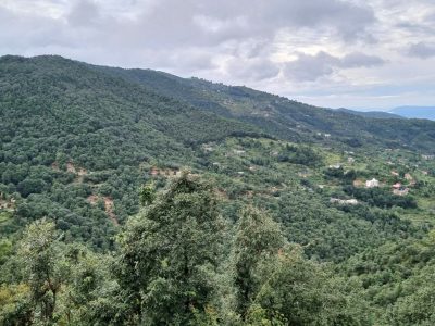 Luxury Villas In Mukteshwar For Rent | Hygge Livings