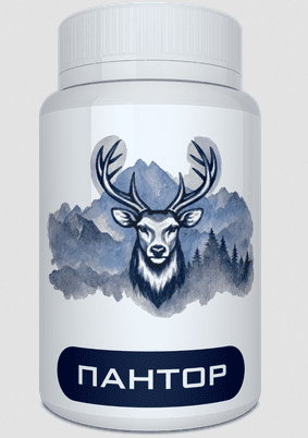 Buy Pantor in Russia – Pantor Price & Reviews