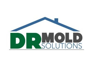 DR Mold Solutions