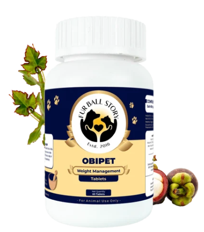 Natural Weight Management for Dogs