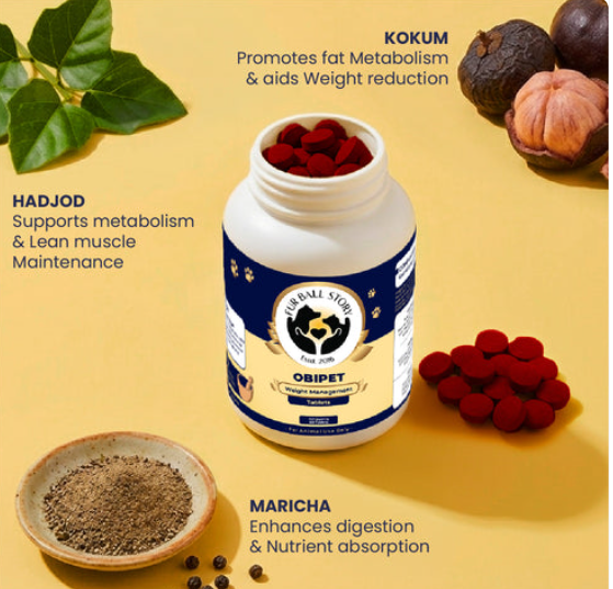 Natural Weight Management for Dogs