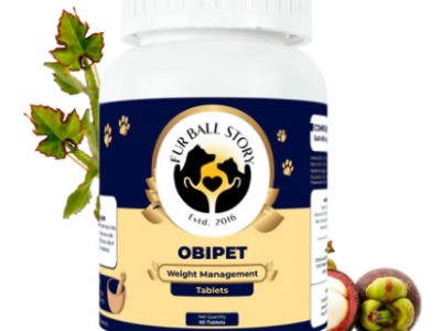 Keep Your Dog Active with Natural Weight Support
