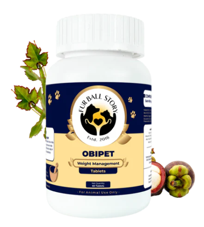 Keep Your Dog Active with Natural Weight Support
