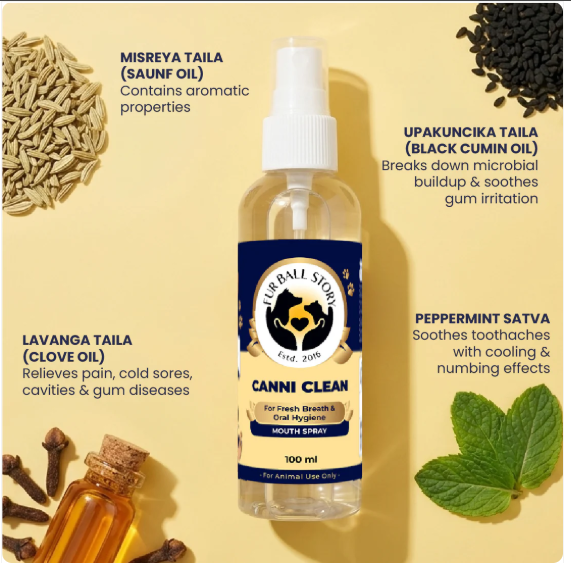 Fresh Breath Starts with Healthy Teeth for Dogs & Cats