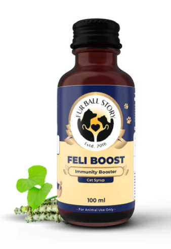 Daily Immune Support for Happy & Healthy Cats